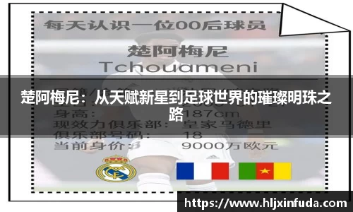星空·综合体育中国官网